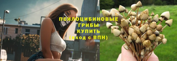 прущие грибы Богородицк