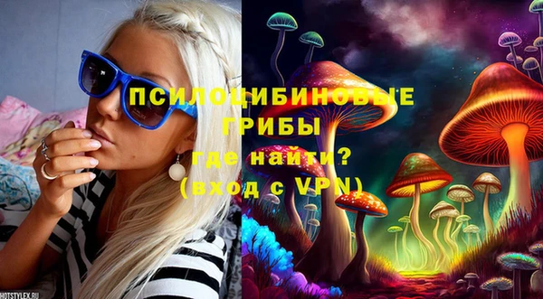 ПСИЛОЦИБИНОВЫЕ ГРИБЫ Богородск