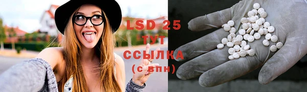 прущие грибы Богородицк