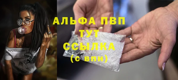 твердый Богданович