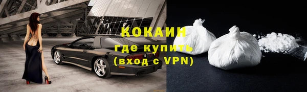 твердый Богданович