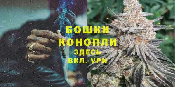 твердый Богданович