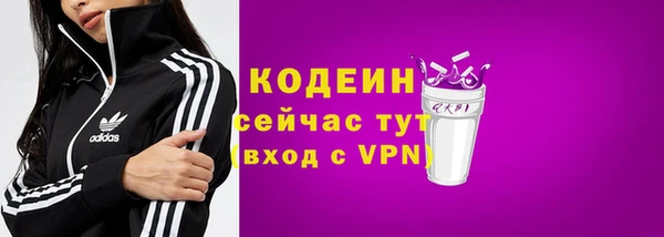 твердый Богданович