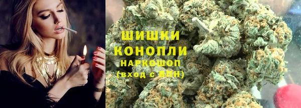 прущие грибы Богородицк