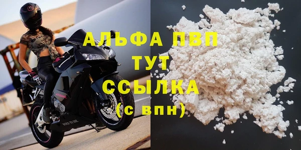 твердый Богданович