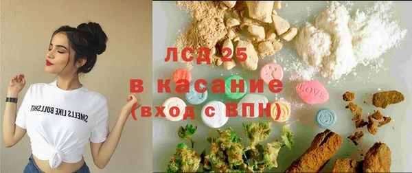 твердый Богданович