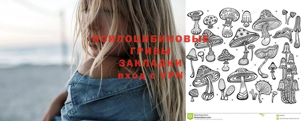 ПСИЛОЦИБИНОВЫЕ ГРИБЫ Богородск