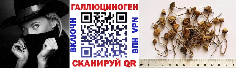 Галлюциногенные грибы GOLDEN TEACHER  Купить  Сибай 